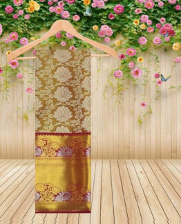 1Gr Gold Saree 012