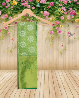 1Gr Gold Saree 019
