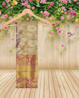 1Gr Gold Saree 042